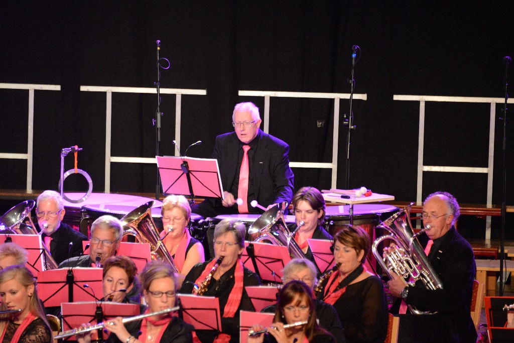 ../Images/Jubileumconcert 100 jaar Harpe Davids 262.jpg